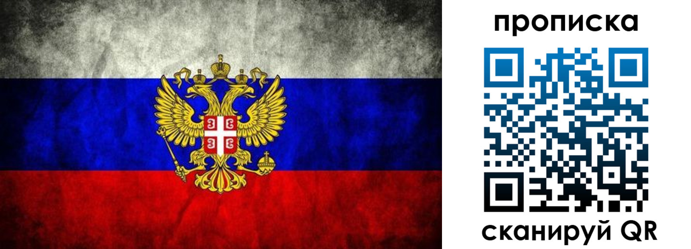 прописка поиск в Киселёвске